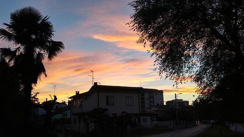 Palm trees and buildings against sky at sunset