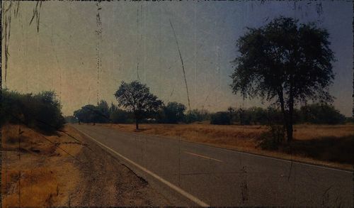 Empty road along trees