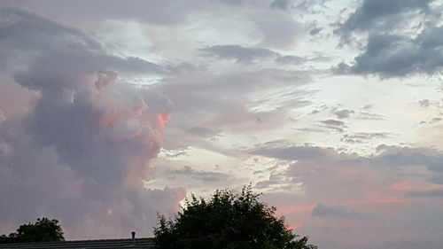 Low angle view of trees against sky