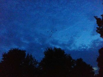 Low angle view of silhouette trees against sky