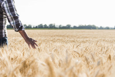 Senior farmer in a wheat field, partial view