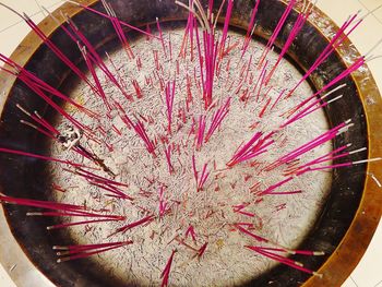 Close-up view of wall