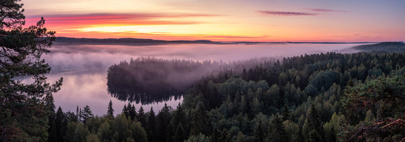 Panoramic view of trees against sky during sunset