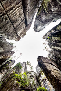 Low angle view of rock formations against sky in forest