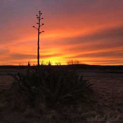 Scenic view of beach against sky during sunset
