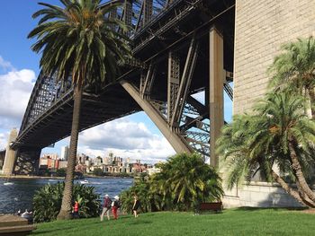 Palm trees and buildings against sky