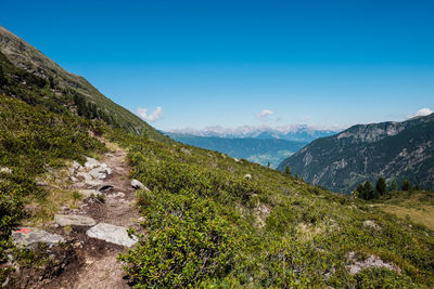 Scenic view of landscape against clear blue sky