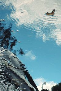 High angle view of ducks swimming in lake