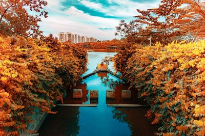 Plants and trees by canal against sky during autumn