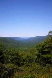 Scenic view of landscape against clear blue sky