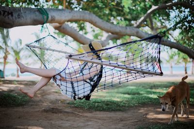 Side view of woman relaxing on hammock by dog at park