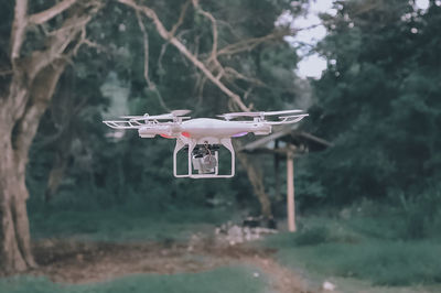 Airplane flying over trees