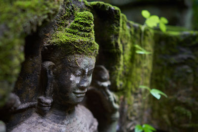 Close-up of mossy buddha statue at temple