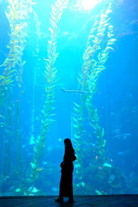 Man swimming in aquarium