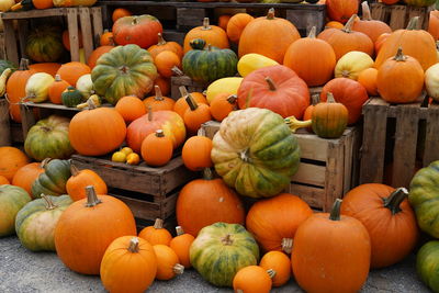 Great variation of pumpkins for sale at market stall