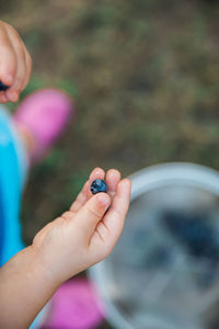 Close-up of hand holding blueberries