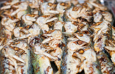 Close-up of fish for sale in market