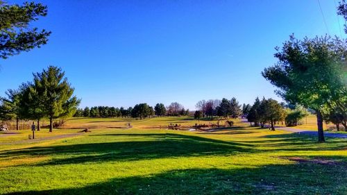 View of golf course against clear blue sky