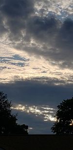 Low angle view of silhouette trees against sky during sunset