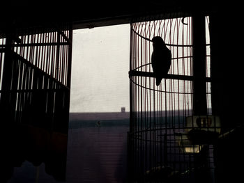 Low angle view of silhouette man standing by railing