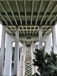 Low angle view of columns