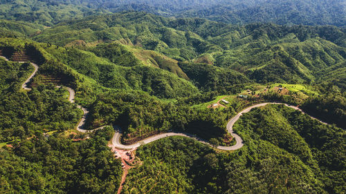 High angle view of road amidst trees in forest