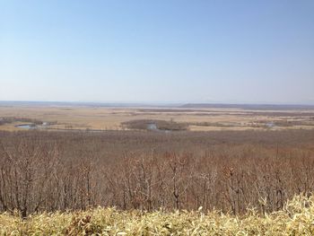 Scenic view of field against clear sky