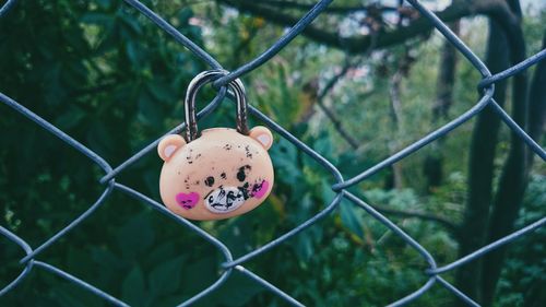 Close-up of padlock hanging on chainlink fence