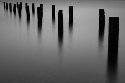 Wooden posts in sea