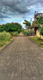 Empty road along plants and trees against sky