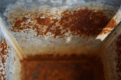Close-up of food on table