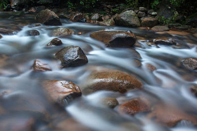 Stream flowing through rocks in forest