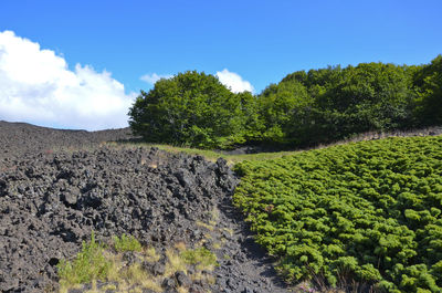 Rock formations at mt etna