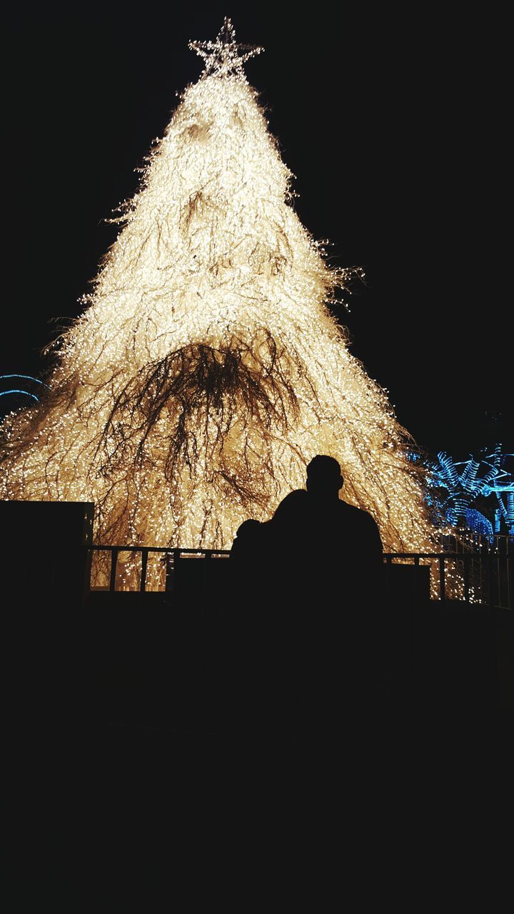 VIEW OF ILLUMINATED CHRISTMAS TREE AT NIGHT