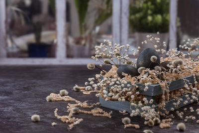 Close-up of flowers on table