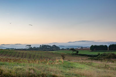 The sun rising over the hills of northern spain on a chilly winter morning.