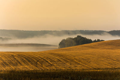 Scenic view of agricultural field against sky during foggy weather