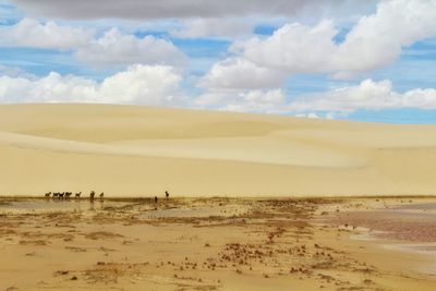 Scenic view of desert against sky