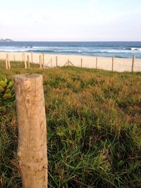 Distant view of wooden post in sea