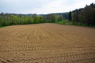Scenic view of agricultural field against sky