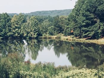 Scenic view of lake by trees against sky