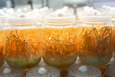Close-up of drink in glass jar on table