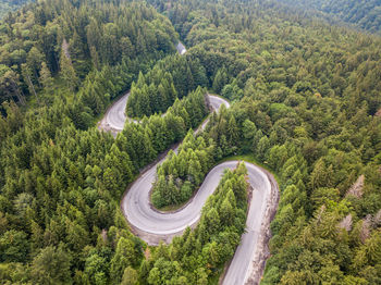 High angle view of road amidst trees