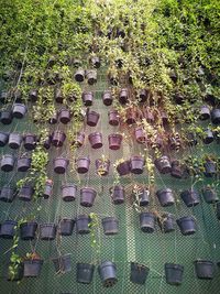 High angle view of grass in row