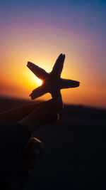 Close-up of hand holding lizard against sky during sunset