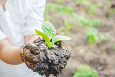 A child plants