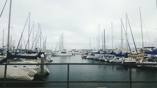 Sailboats moored at harbor against sky