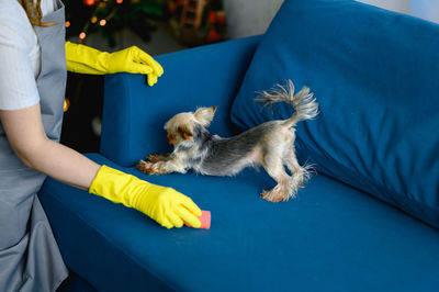 Midsection of woman holding dog