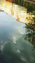 Reflection of trees in water