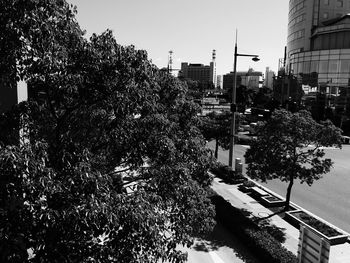 Trees against sky in city